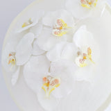 Cream large white orchid flower saucer disc fascinator hat Cream large white orchid flower saucer disc fascinator hat