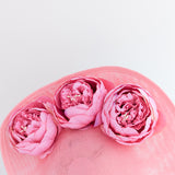 Pink large teardrop peony flower fascinator hat Pink large teardrop peony flower fascinator hat