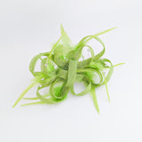 Lime green crystal feather fascinator hat Lime green crystal feather fascinator hat