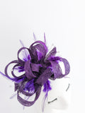 Aubergine cadbury purple crystal feather fascinator hat Aubergine cadbury purple crystal feather fascinator hat