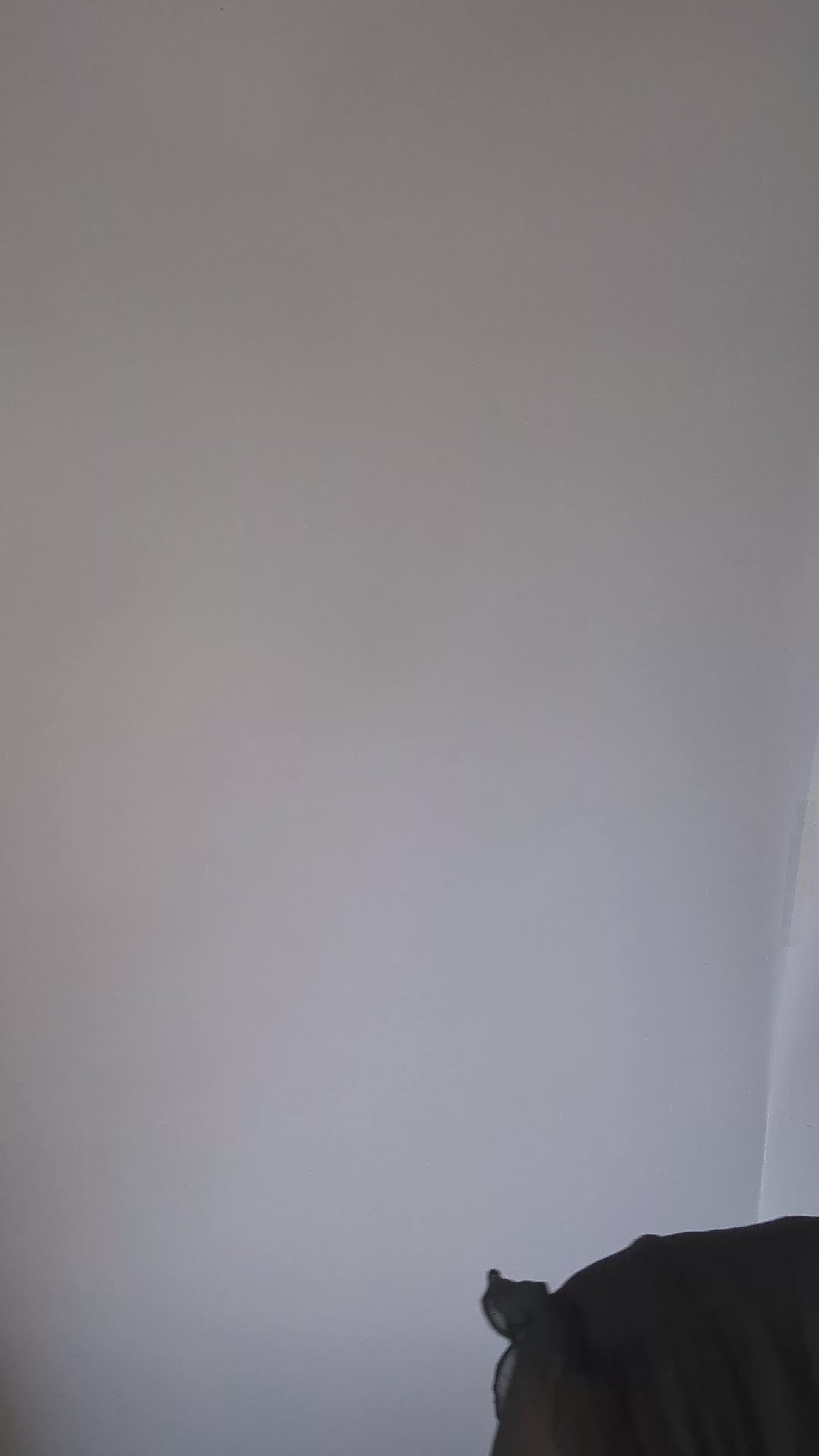 Cappello fascinator di piume di cristallo blu fiordaliso Cappello fascinator di piume di cristallo blu fiordaliso