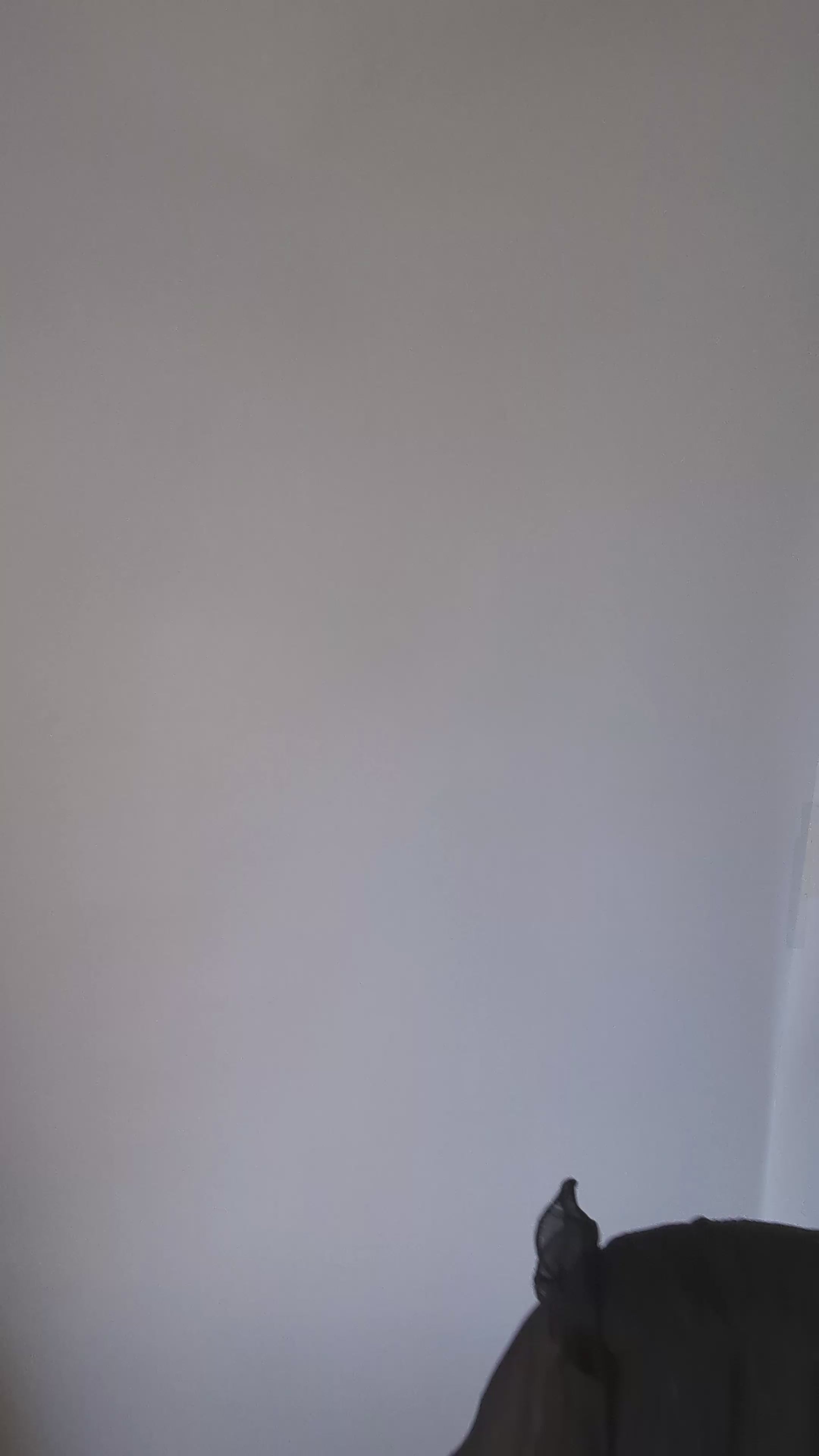 Cappello fascinator di piume di cristallo blu fiordaliso Cappello fascinator di piume di cristallo blu fiordaliso