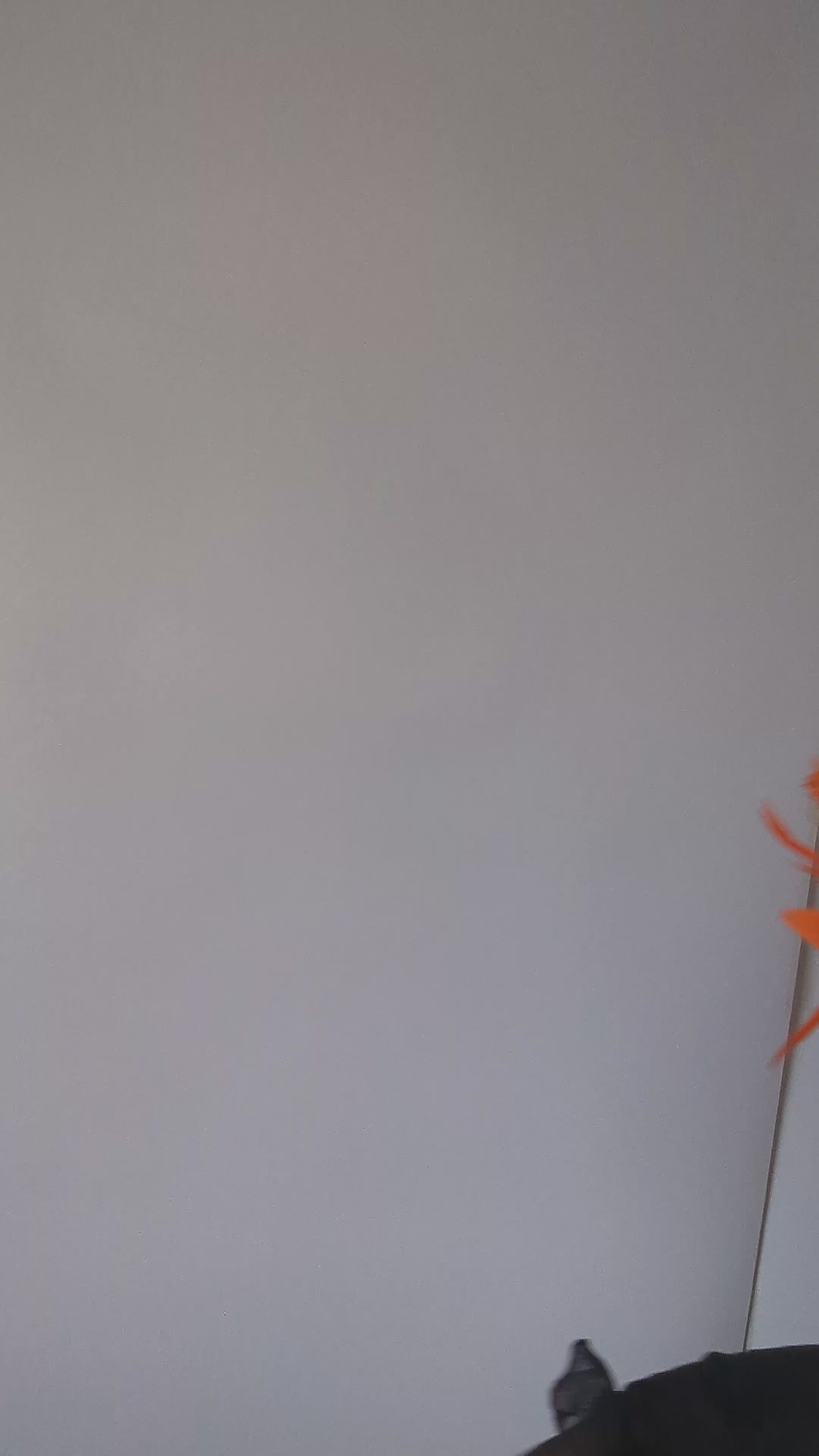 Orange feather fascinator hat Orange feather fascinator hat