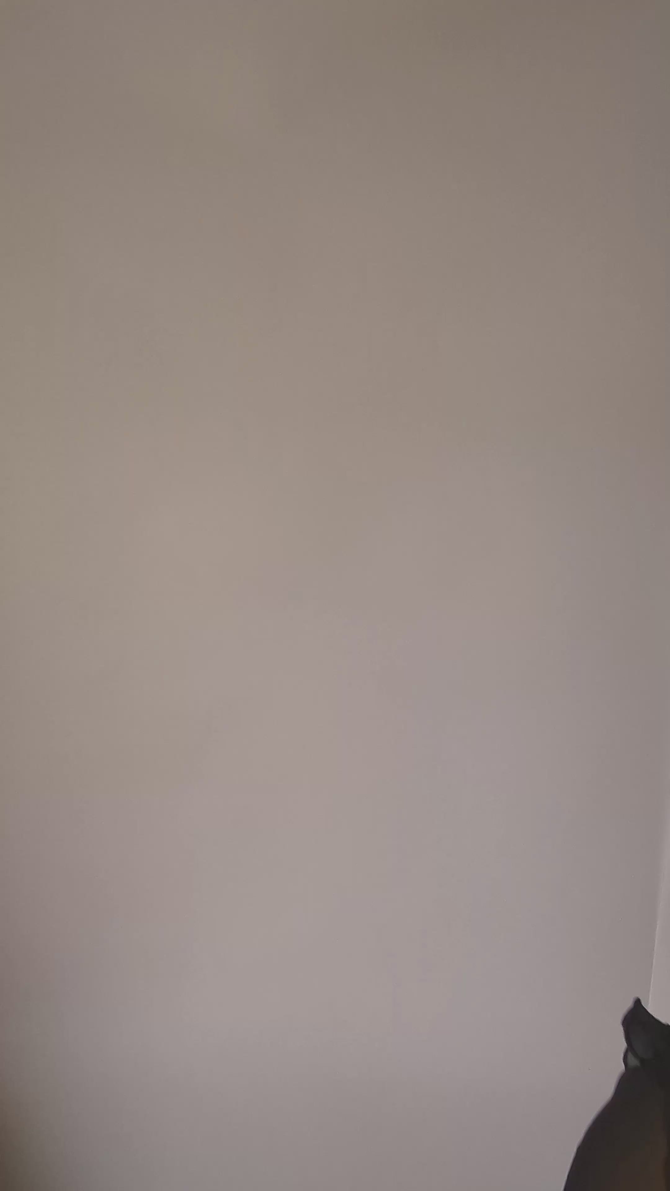 Cappello fascinator disco piattino con piume di fiori rosa cipria Cappello fascinator disco piattino con piume di fiori rosa cipria