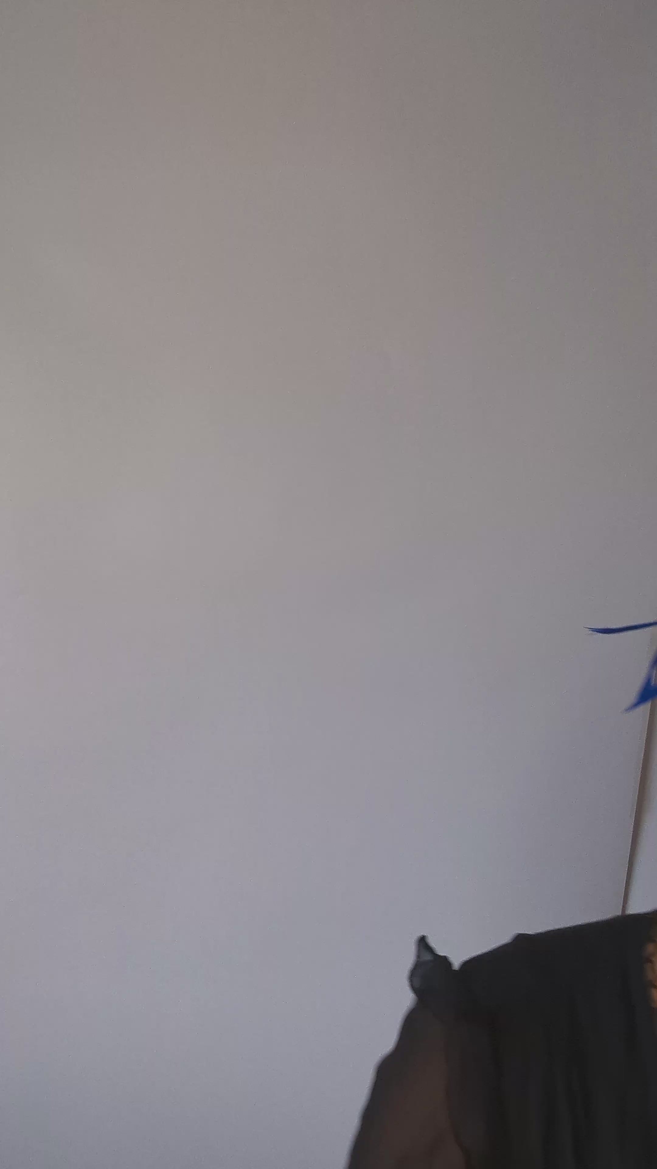 Royal cobalt blue feather fascinator hat Royal cobalt blue feather fascinator hat