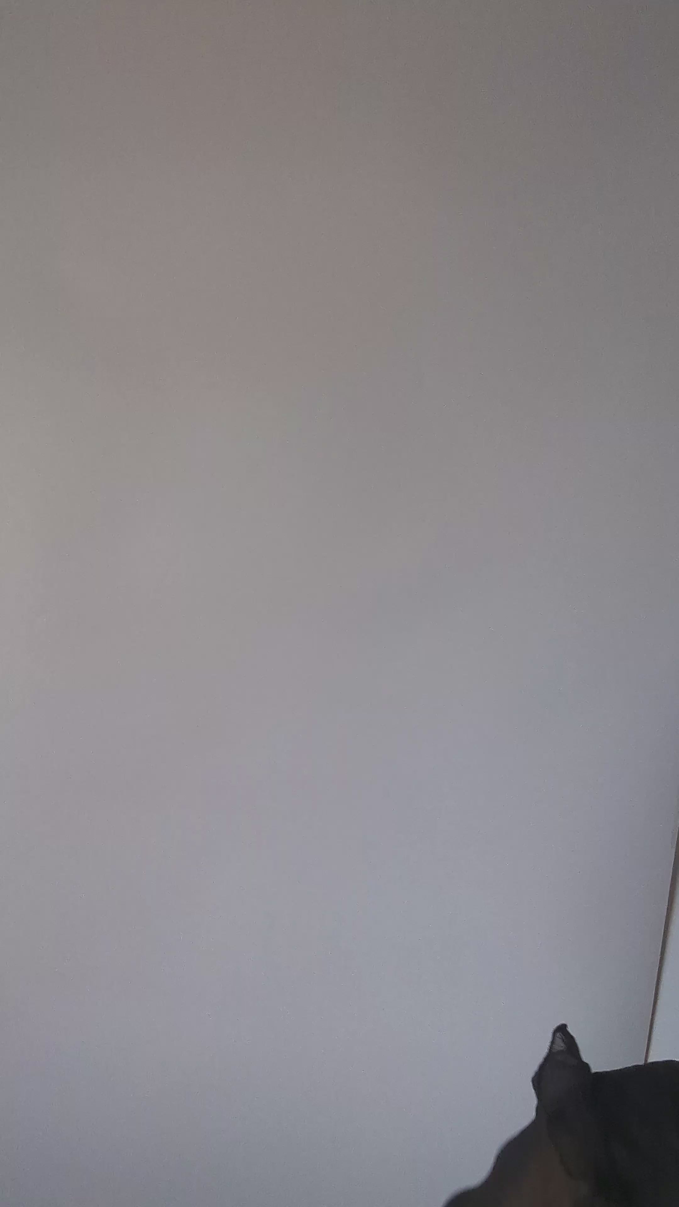 Large toffee gold satin rose fascinator hat Large toffee gold satin rose fascinator hat