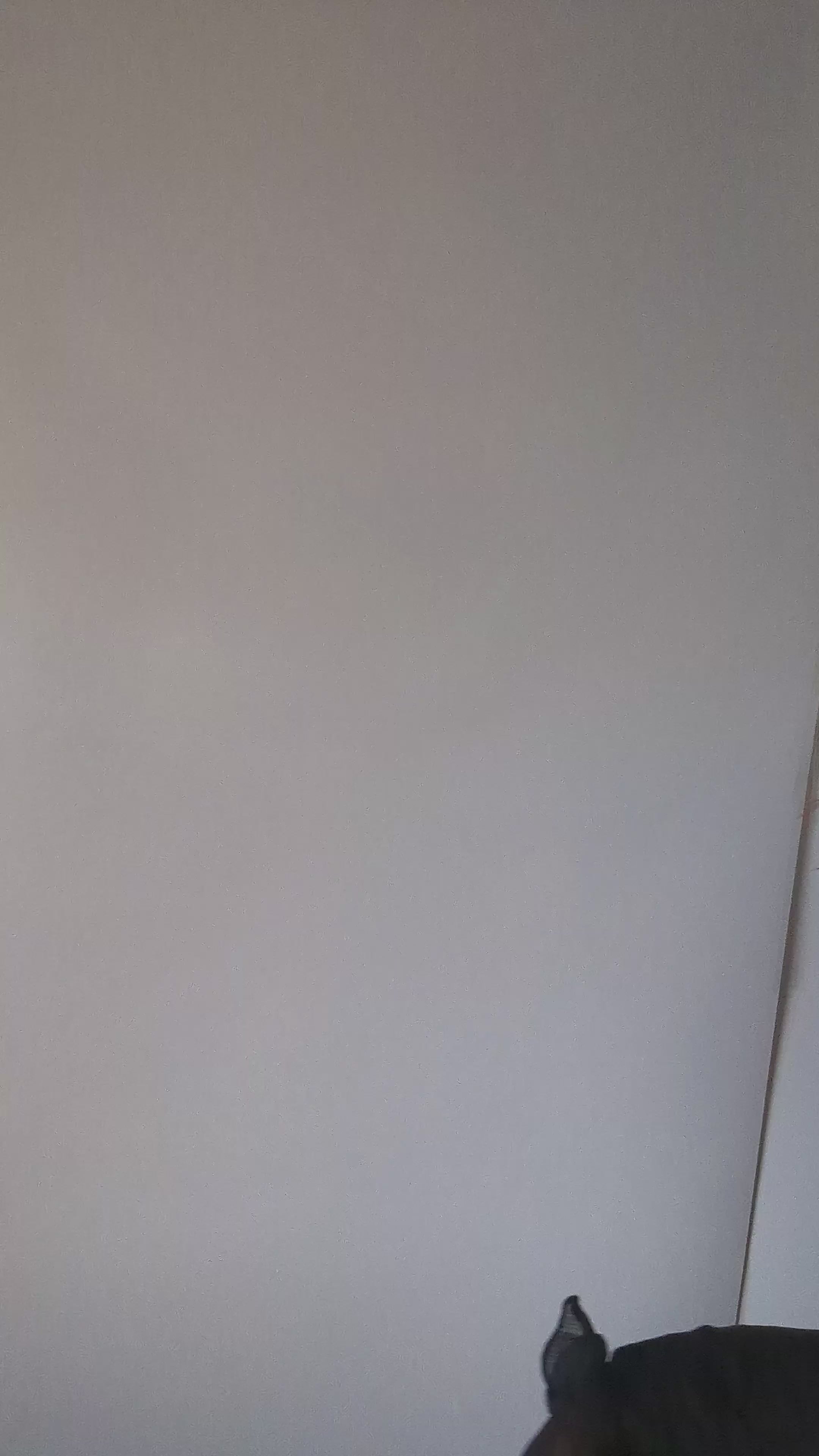 Red flower fascinator disc saucer hat Red flower fascinator disc saucer hat