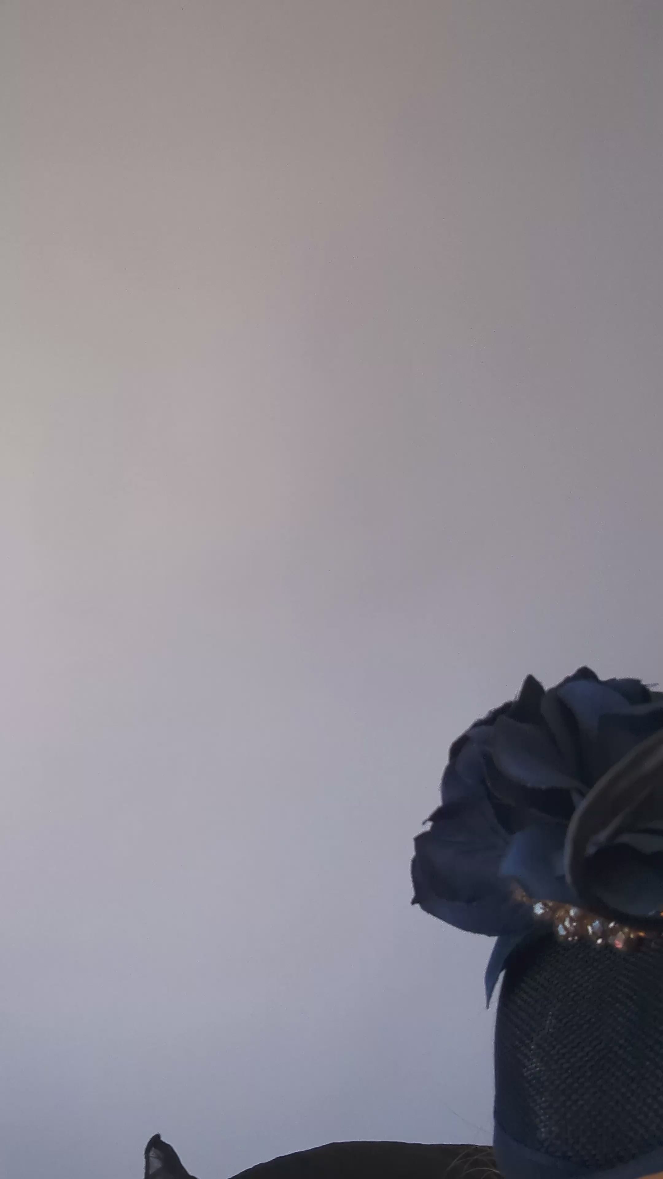 Navy blue flower disc saucer fascinator hat Navy blue flower disc saucer fascinator hat