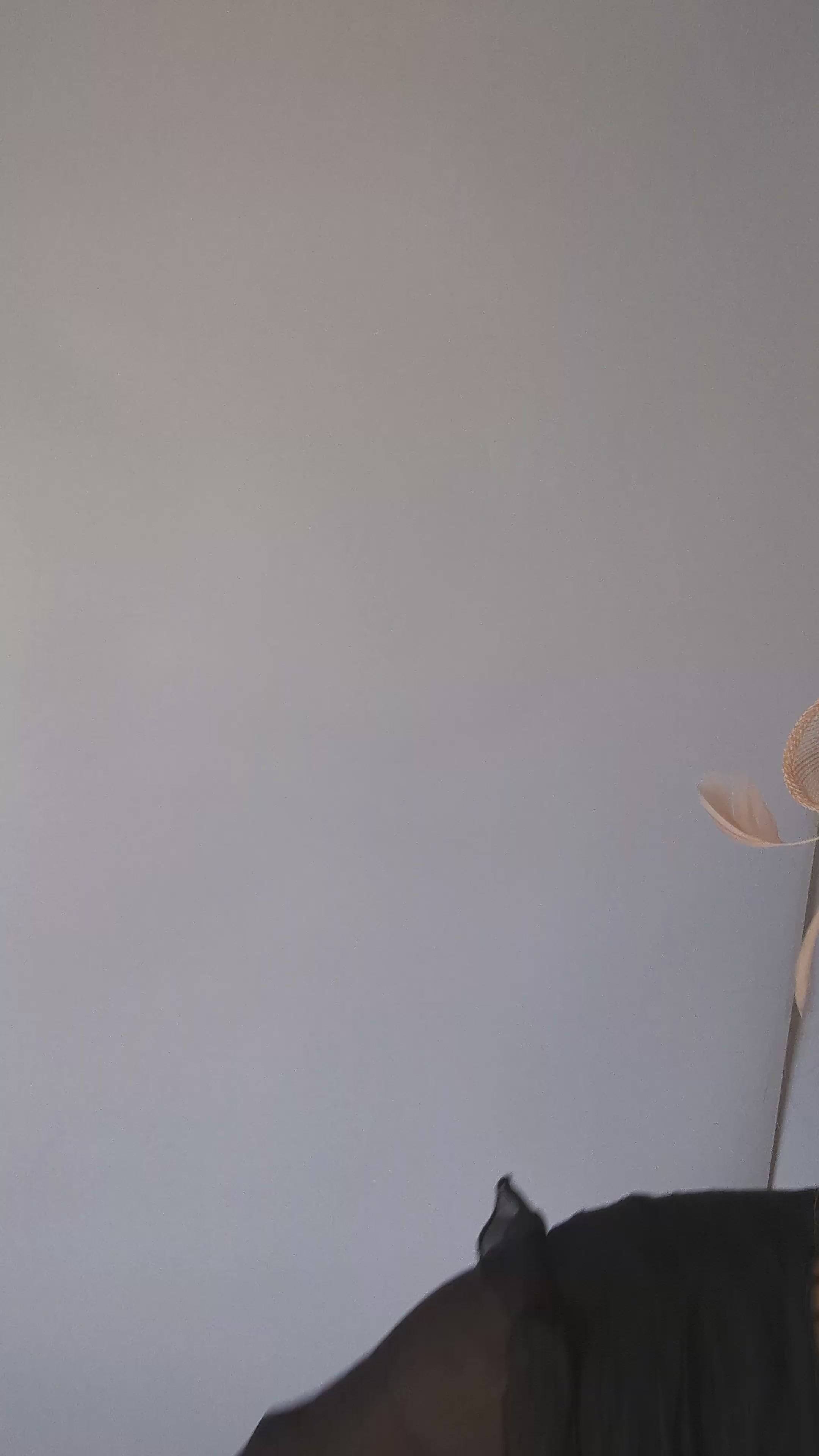 Light peach feather fascinator hat Light peach feather fascinator hat