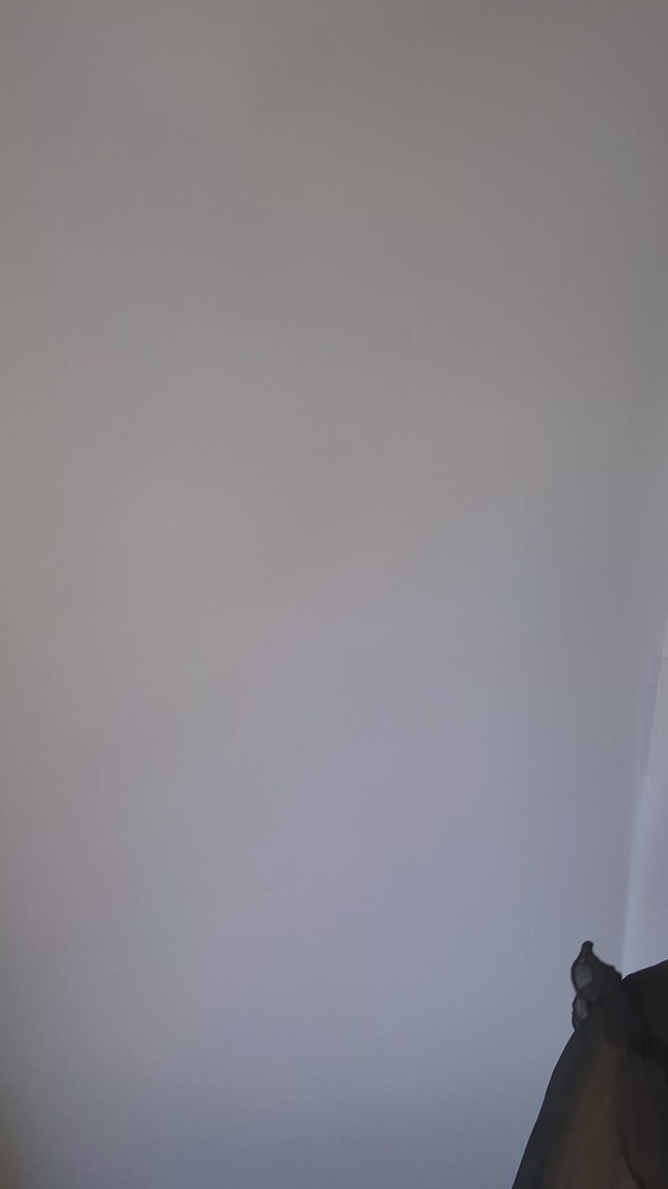 Light cornflower blue feather padded velvet headband fascinator Light cornflower blue feather padded velvet headband fascinator