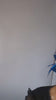 Royal cobalt blue feather petal fan fascinator hat Royal cobalt blue feather petal fan fascinator hat