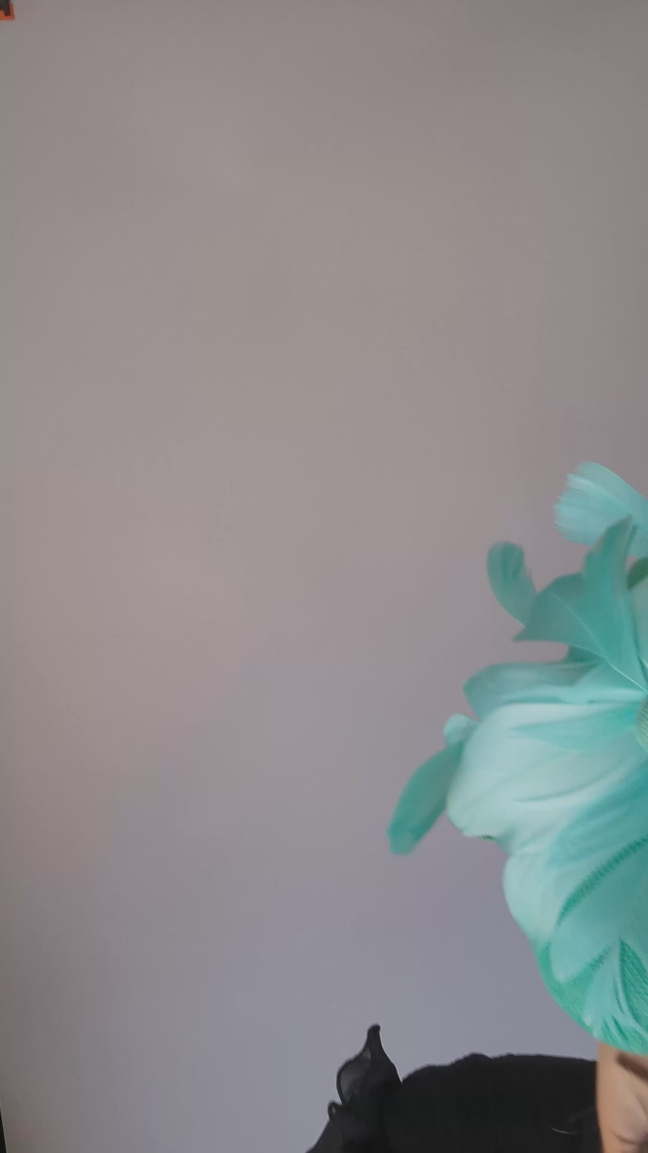 Seafoam mint green feather fascinator hat Seafoam mint green feather fascinator hat