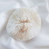 Gold zirconia crystal bridal necklace, Boho wedding necklace, Dainty minimalist necklace, Crystal wedding jewellery, Jewellery for brides Gold zirconia crystal bridal necklace, Boho wedding necklace, Dainty minimalist necklace, Crystal wedding jewellery, Jewellery for brides