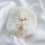 Baroque pearl bridal necklace, Dainty wedding necklace, Gold minimalist elegant necklace, Freshwater pearl wedding jewellery Baroque pearl bridal necklace, Dainty wedding necklace, Gold minimalist elegant necklace, Freshwater pearl wedding jewellery