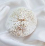 Bridal Necklace, Art Deco Necklace, Crystal Necklace, Gold Fan Necklace, Wedding Necklace, Bridesmaid Gift, Bridal Jewelry Bridal Necklace, Art Deco Necklace, Crystal Necklace, Gold Fan Necklace, Wedding Necklace, Bridesmaid Gift, Bridal Jewelry