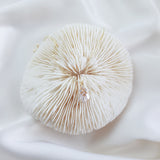 Gold crystal bridal necklace, Zirconia crystal wedding necklace, Dainty necklace, Crystal art deco wedding jewellery, Jewellery for brides Gold crystal bridal necklace, Zirconia crystal wedding necklace, Dainty necklace, Crystal art deco wedding jewellery, Jewellery for brides