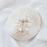 Pearl Drop Earrings, Bridal Earrings, Vintage Style Earrings, Gold Pearl Earrings, Wedding Earrings, Bridesmaid Gift, Crystal Earrings Pearl Drop Earrings, Bridal Earrings, Vintage Style Earrings, Gold Pearl Earrings, Wedding Earrings, Bridesmaid Gift, Crystal Earrings