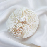 Baroque pearl bridal necklace, Dainty wedding necklace, Gold minimalist elegant necklace, Freshwater pearl wedding jewellery Baroque pearl bridal necklace, Dainty wedding necklace, Gold minimalist elegant necklace, Freshwater pearl wedding jewellery