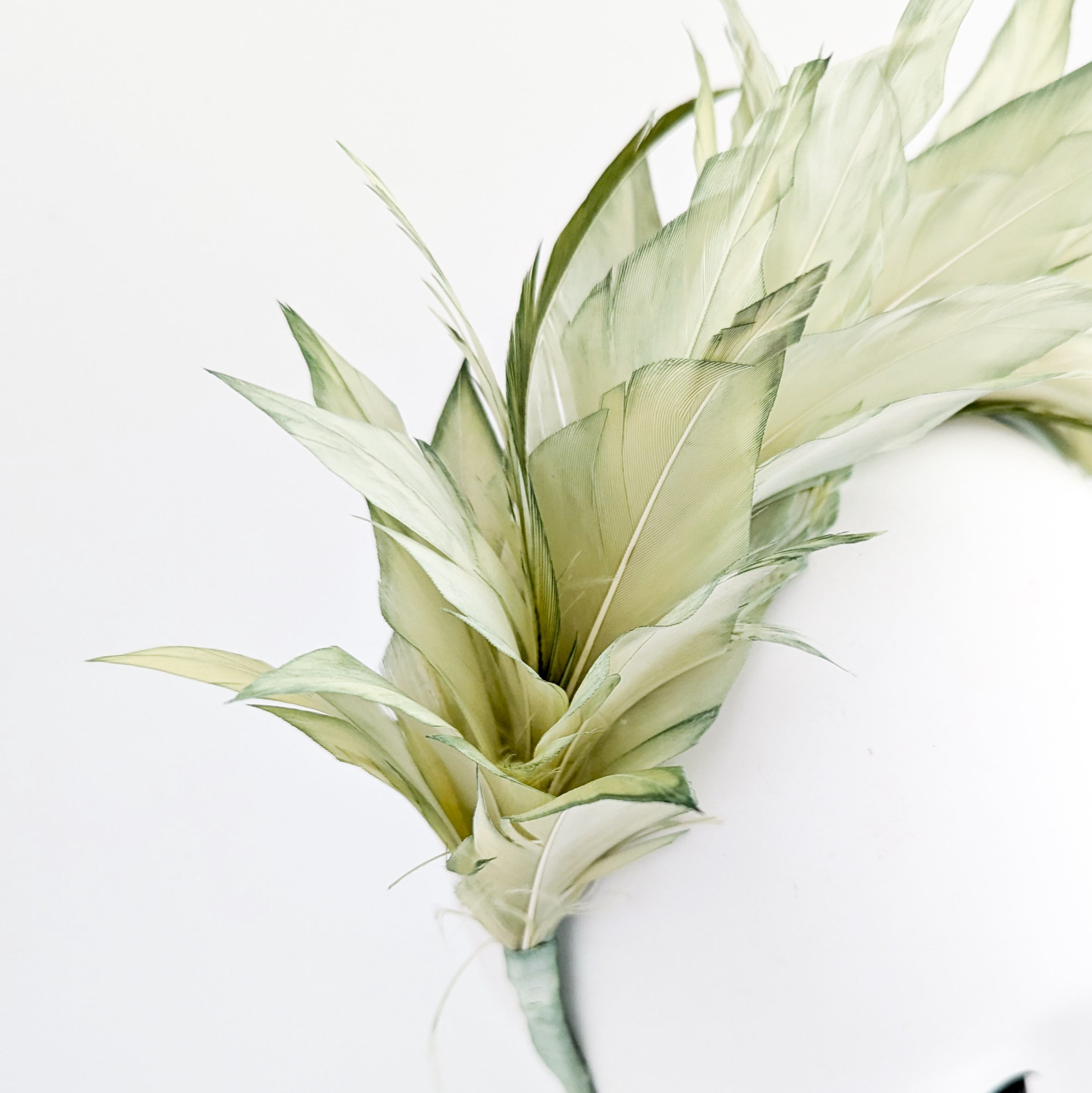 Light green ombre feather satin headband fascinator