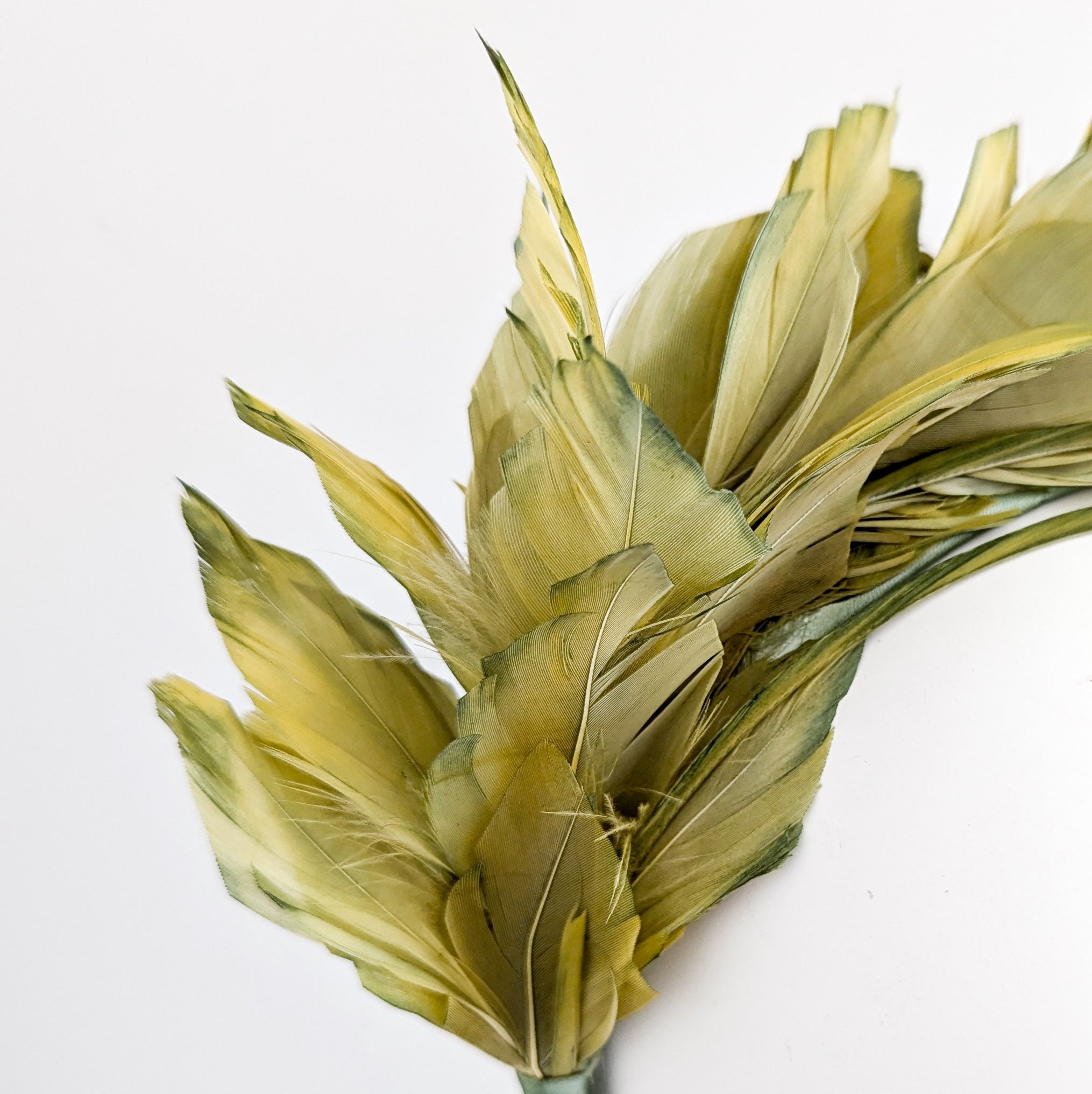 Chartreuse green ombre feather satin headband fascinator