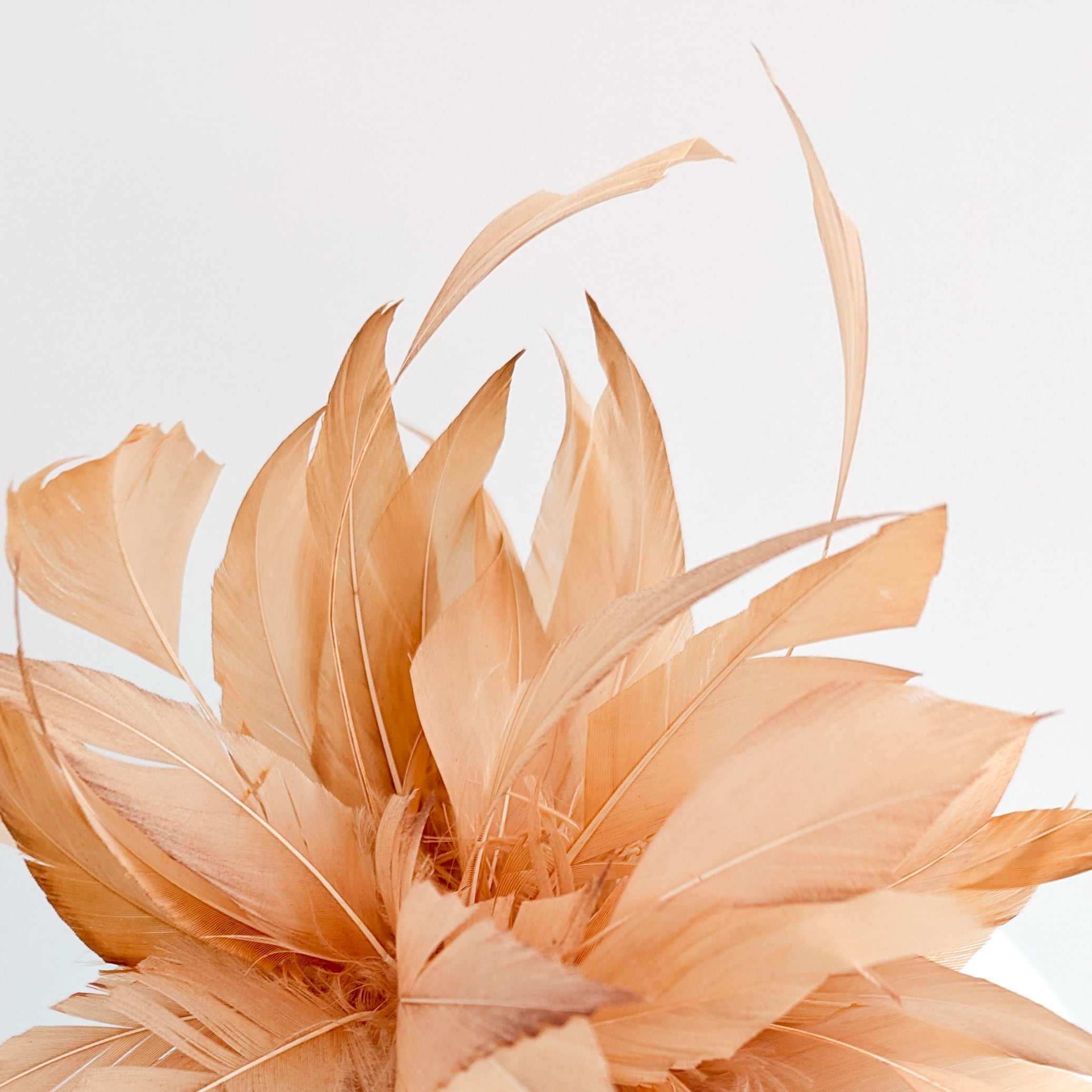 Light orange ombre feather fascinator hat