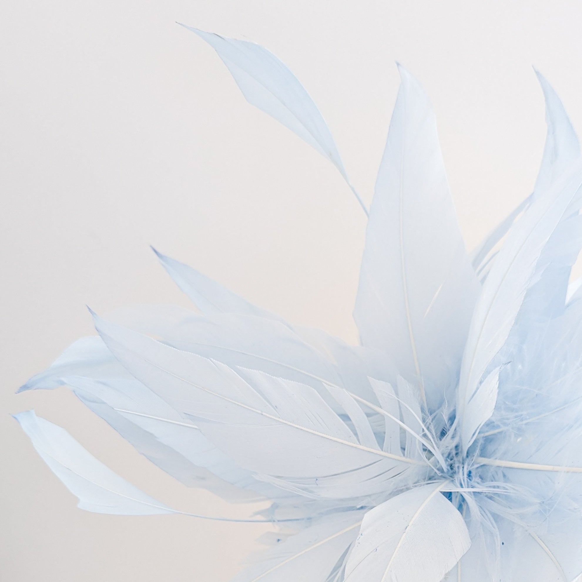 Light baby blue feather fascinator hat