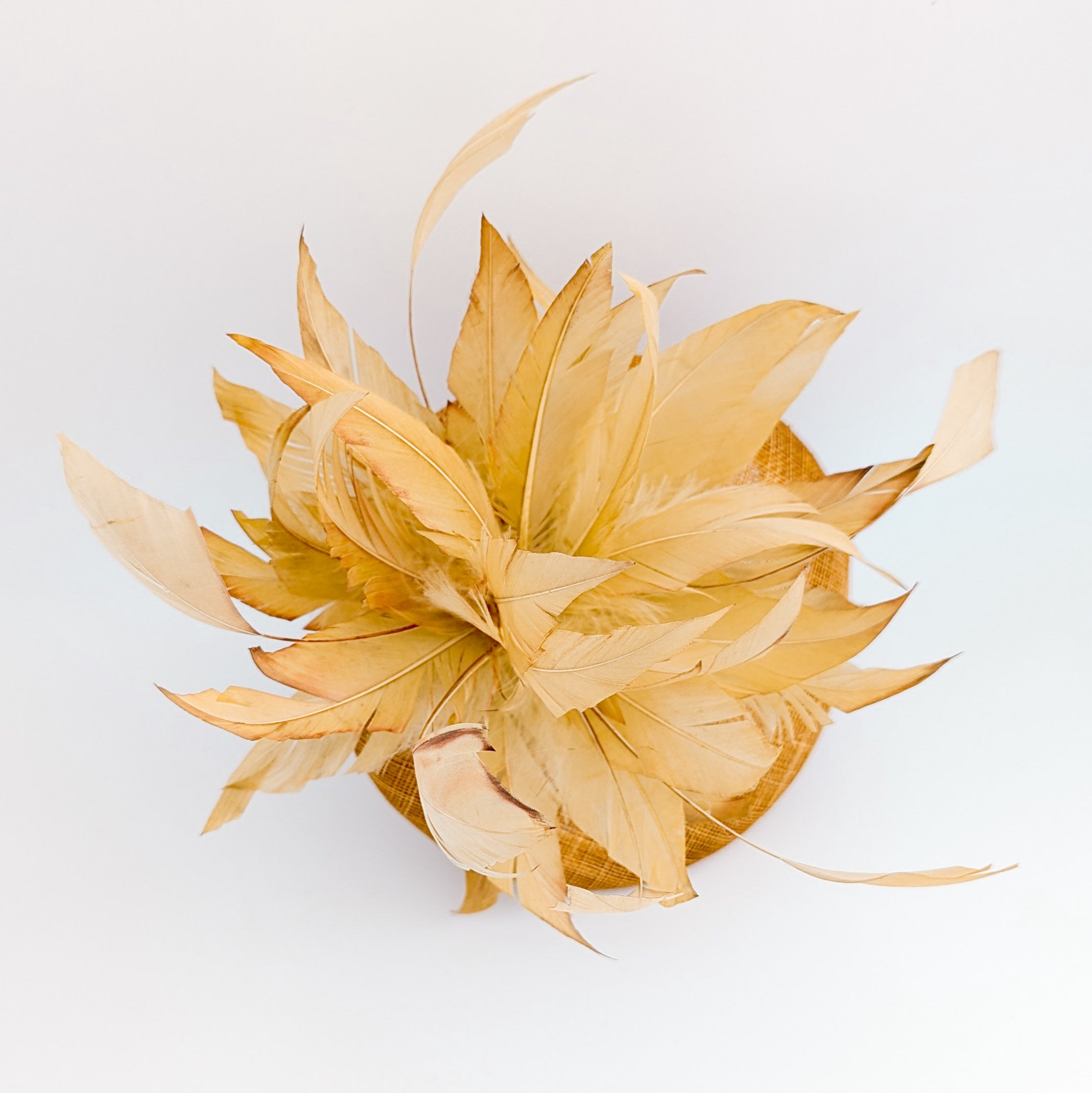 Tangerine orange feather fascinator hat