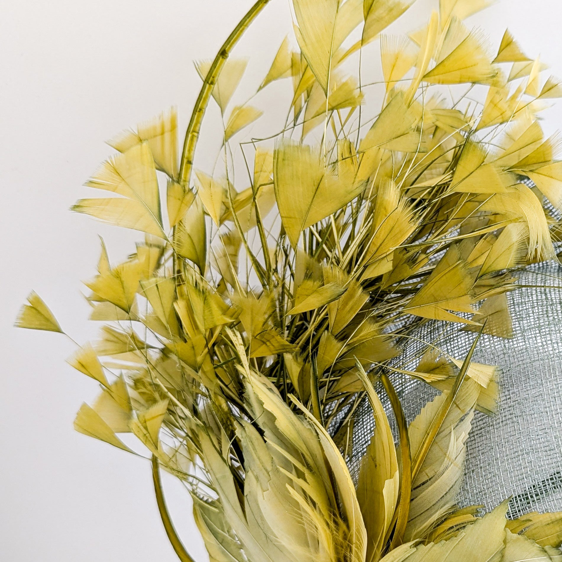 Chartreuse green feather disc fascinator hat