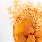 Tangerine orange feather disc fascinator hat