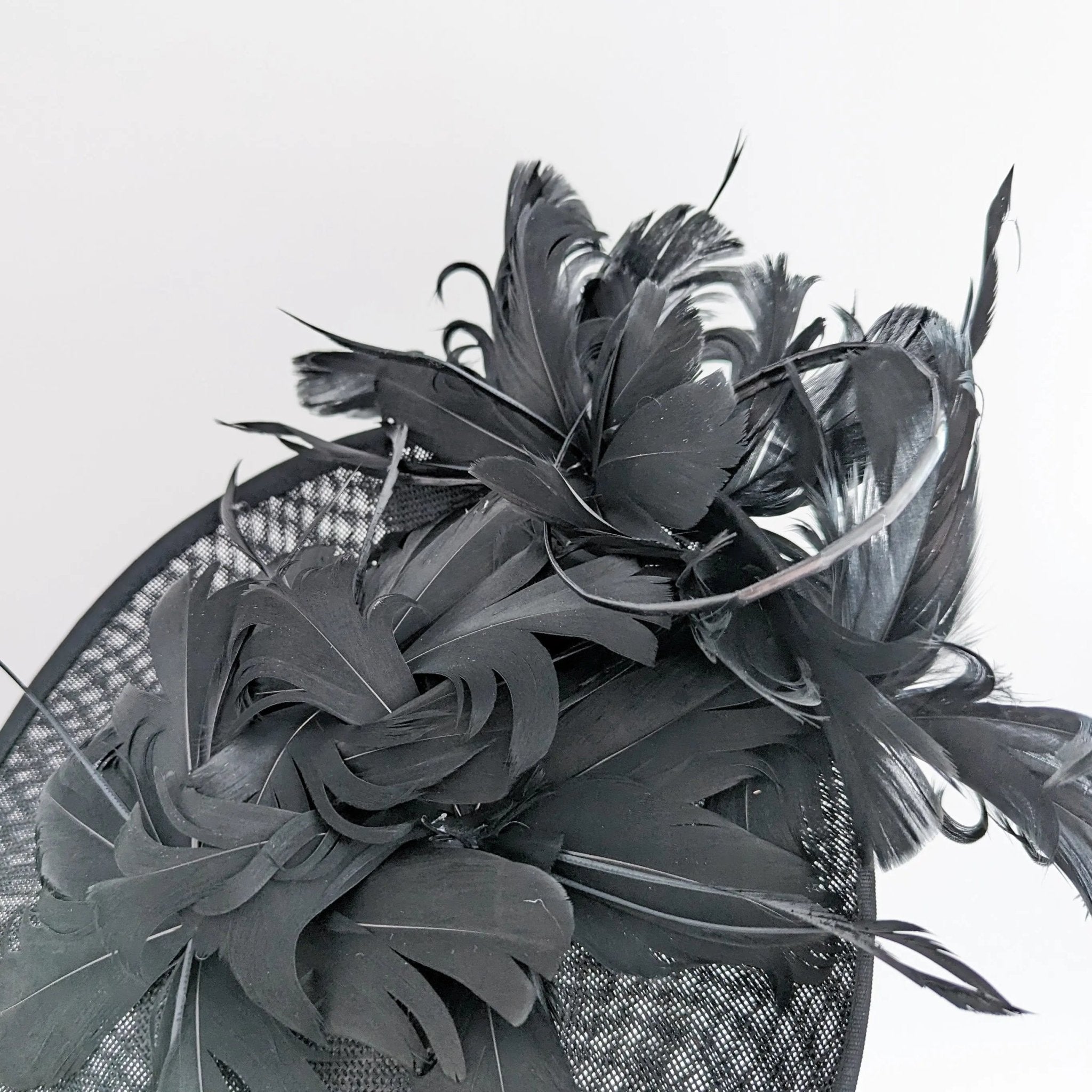 Black feather large saucer disc fascinator hat - House of Hats