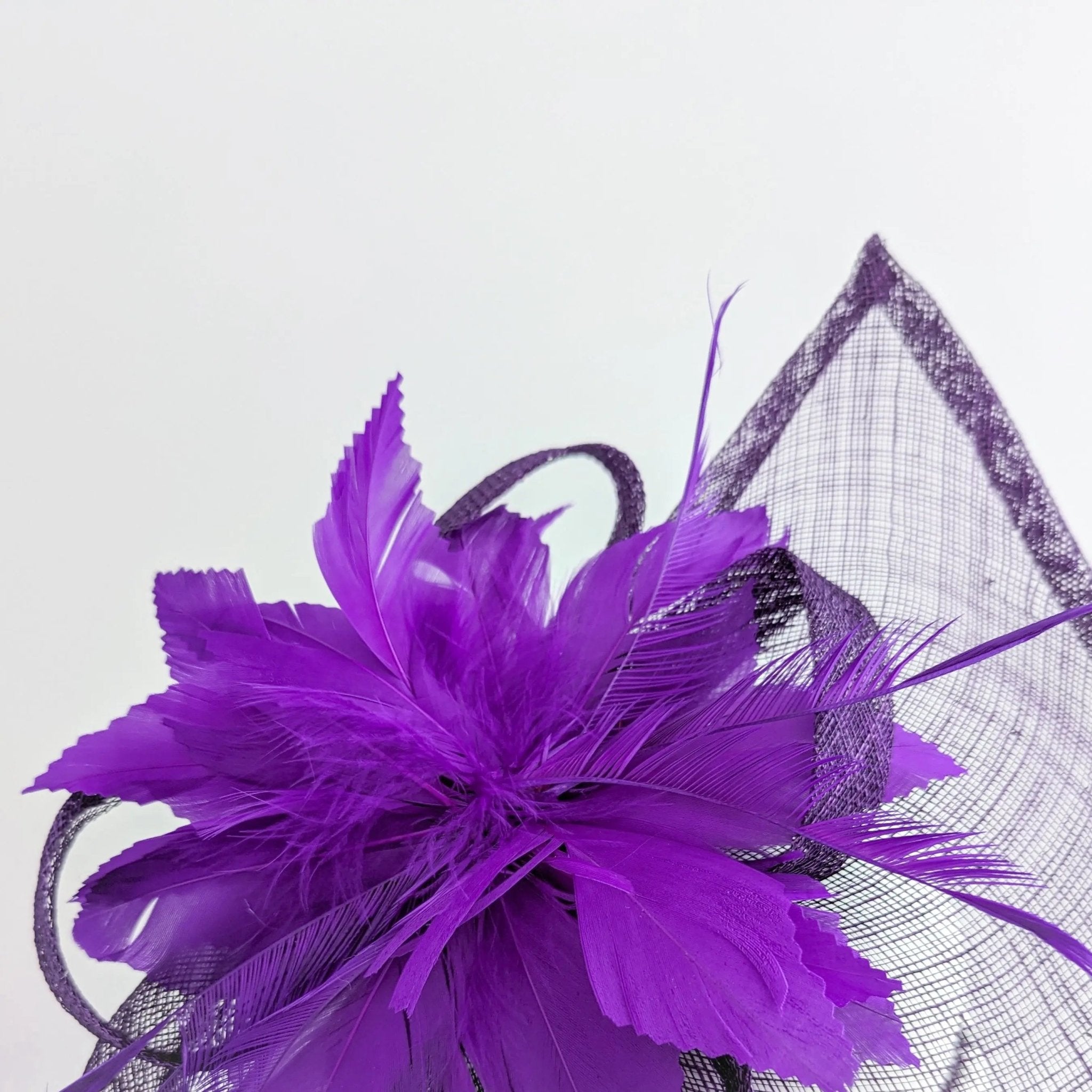 Dark aubergine cadbury purple feather large teardrop fascinator hat - House of Hats