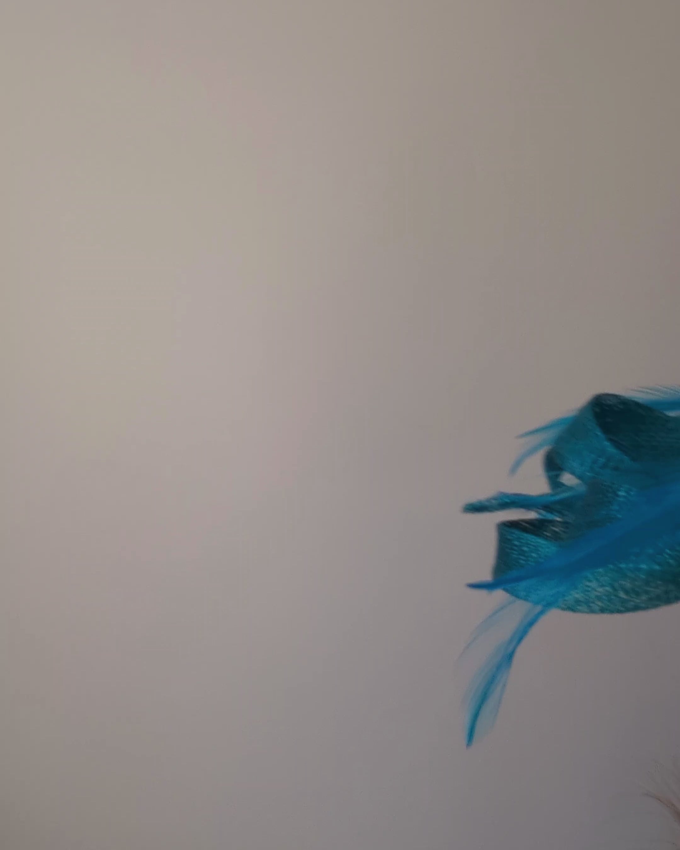 Dark aqua blue crystal feather fascinator hat