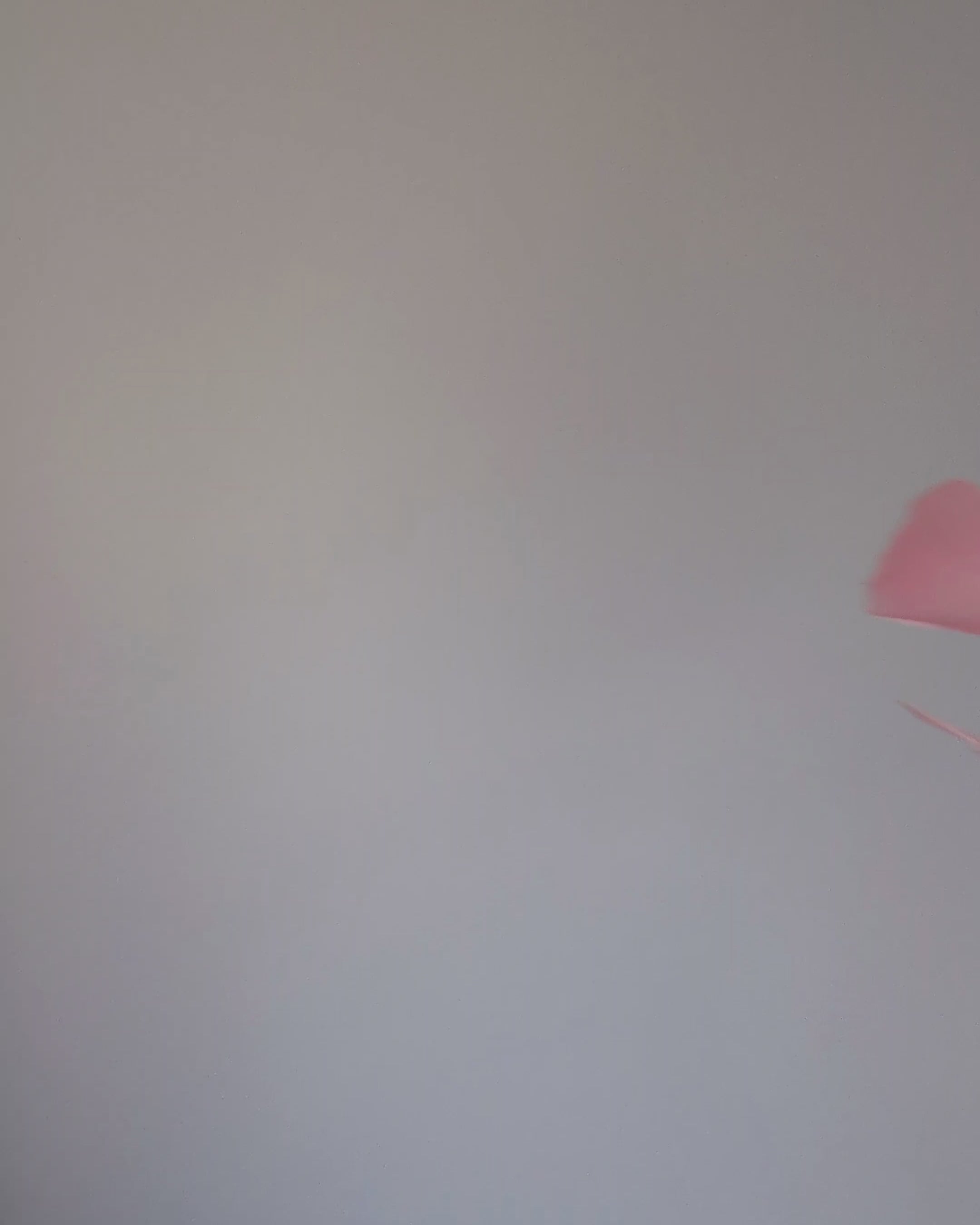 Light peach pink feather fascinator hat