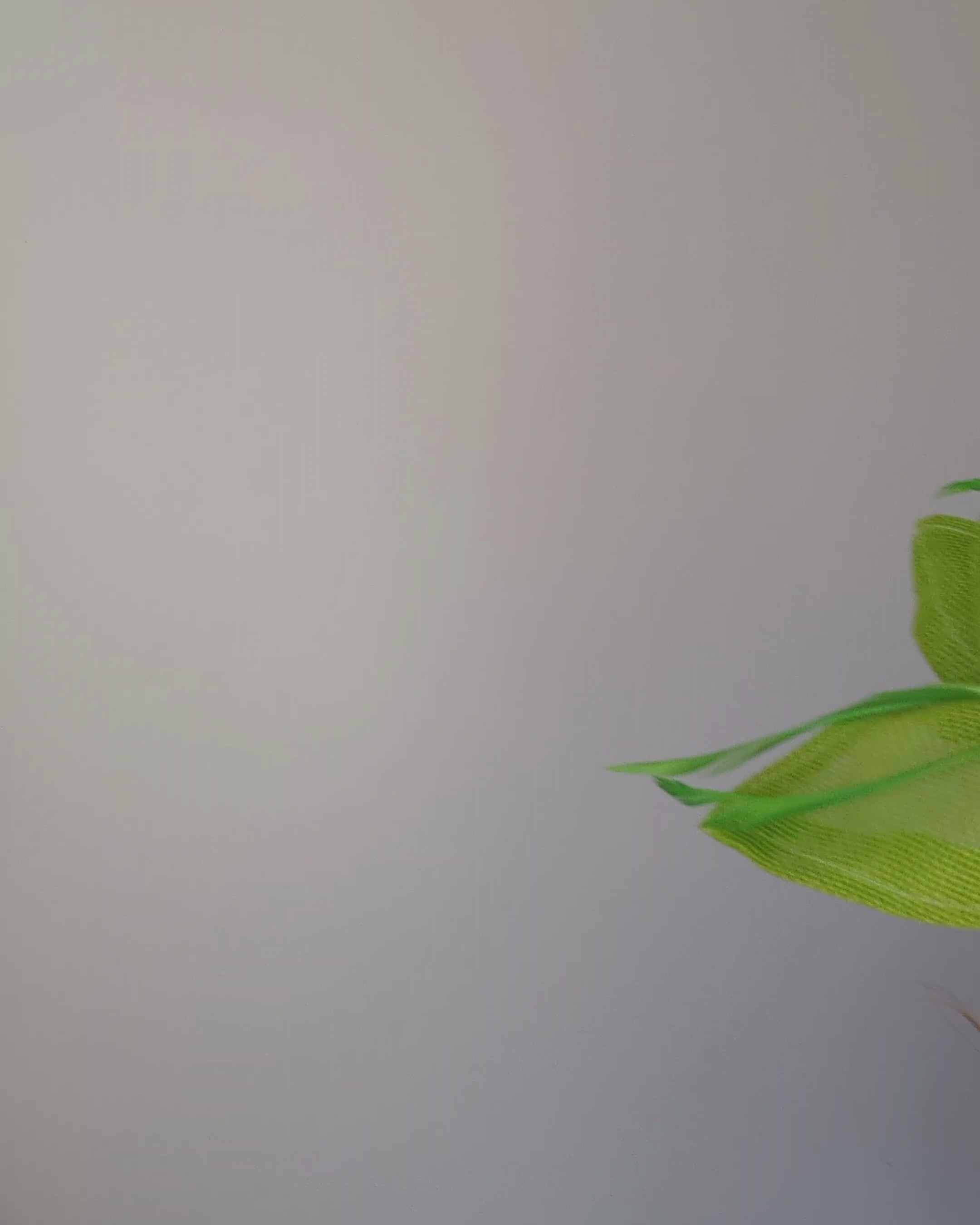 Matcha lime green feather petal fan fascinator hat