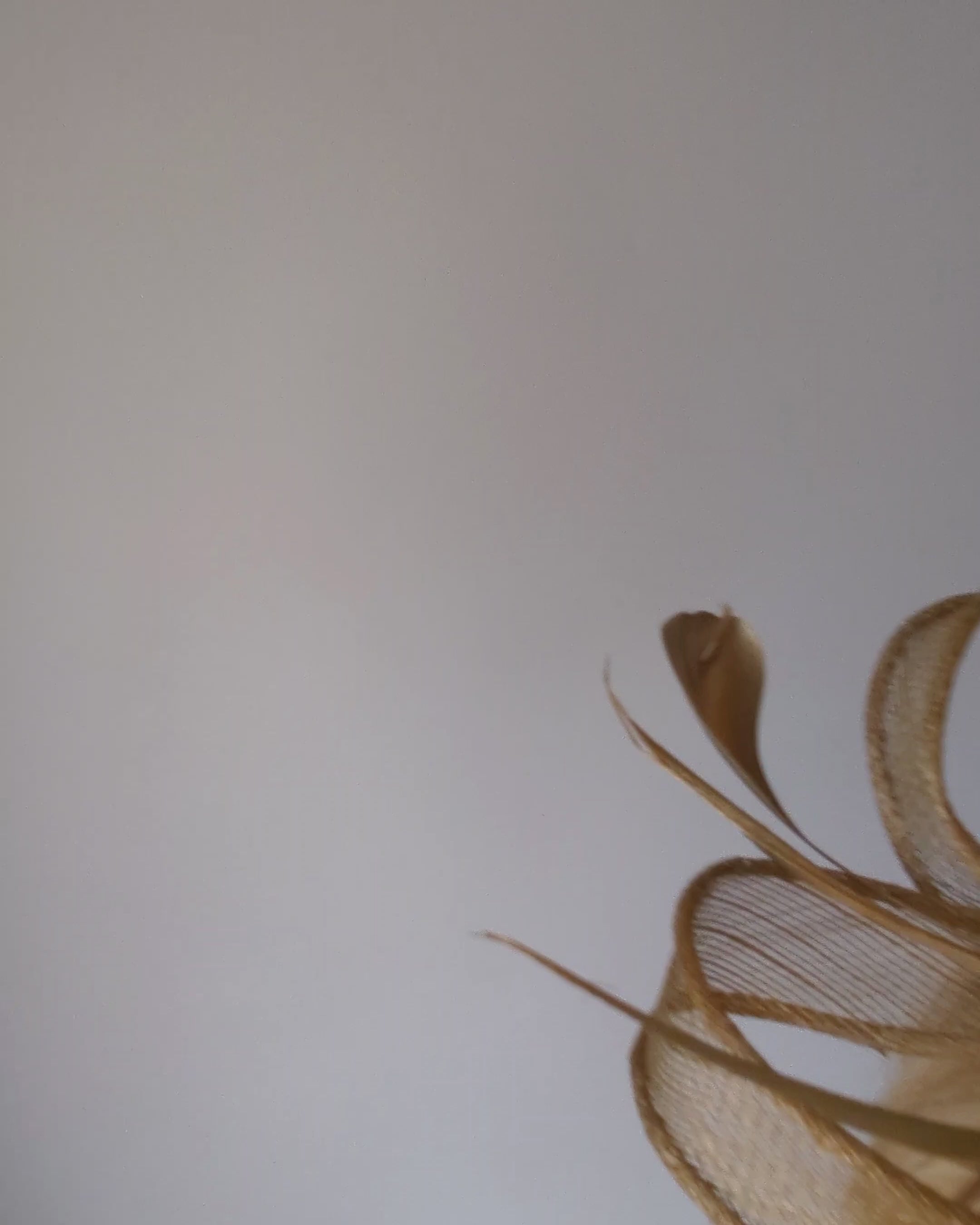 Gold shimmer feather fascinator hat