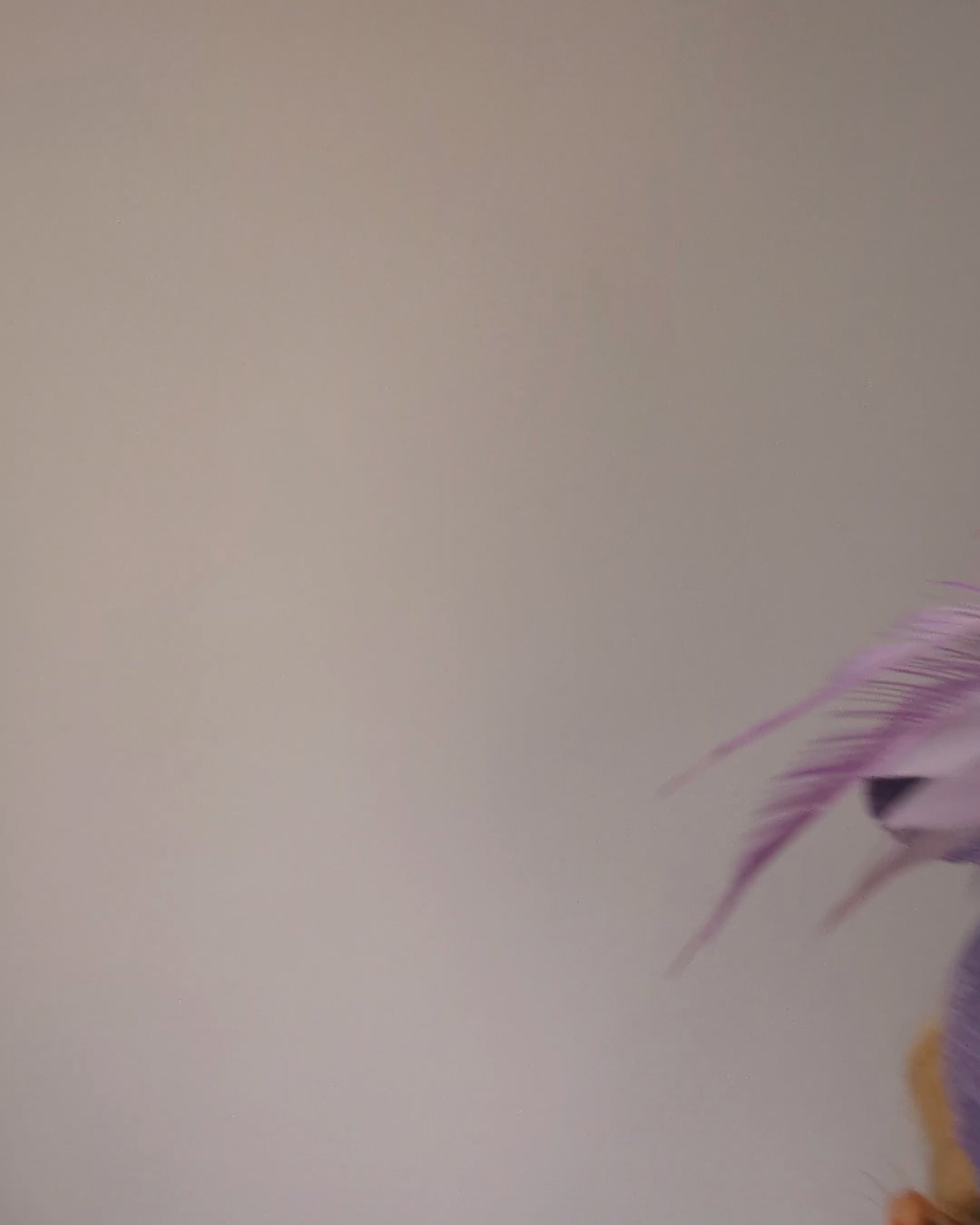 Lavender and lilac purple feather fascinator hat