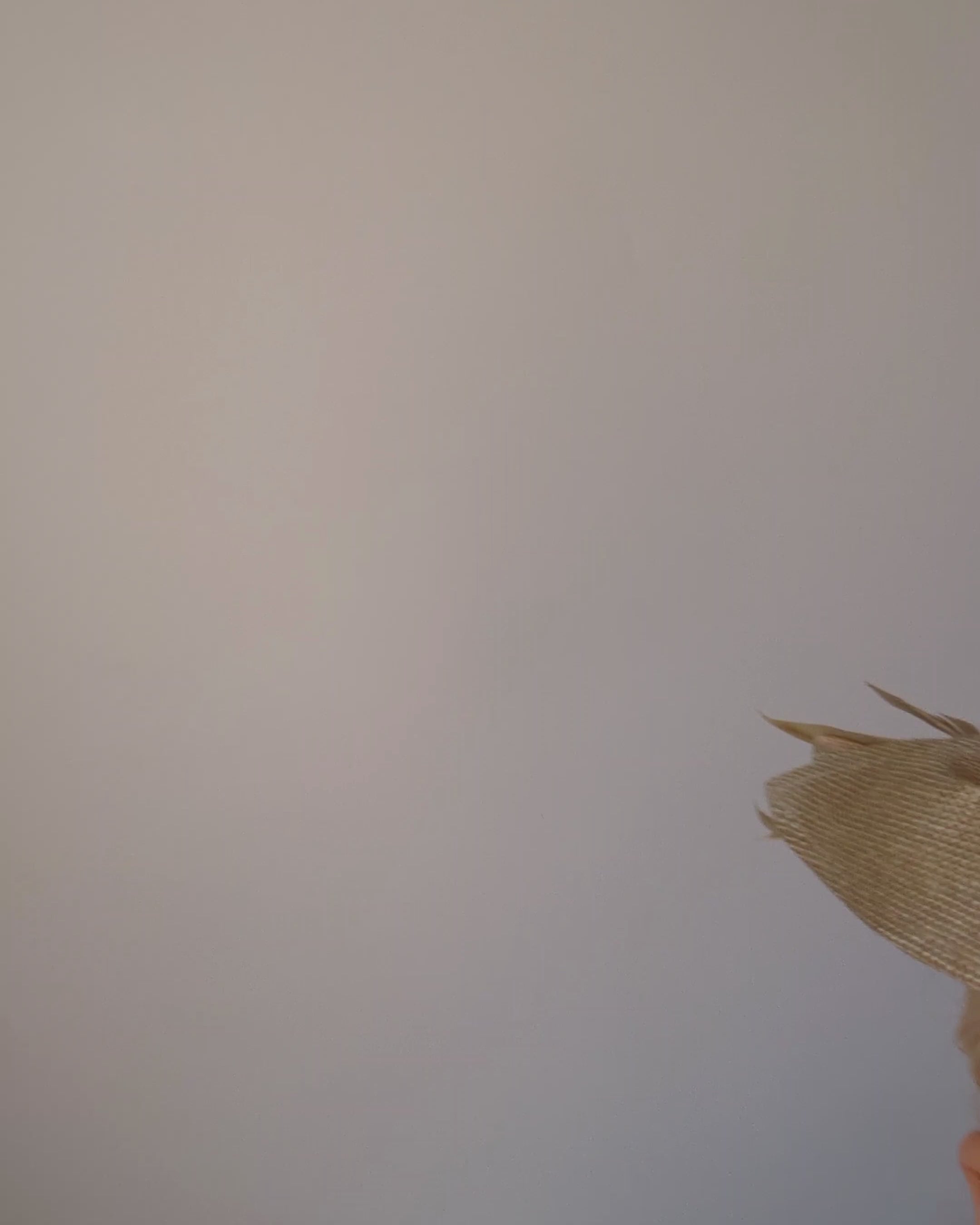 Gold shimmer feather petal fan fascinator hat