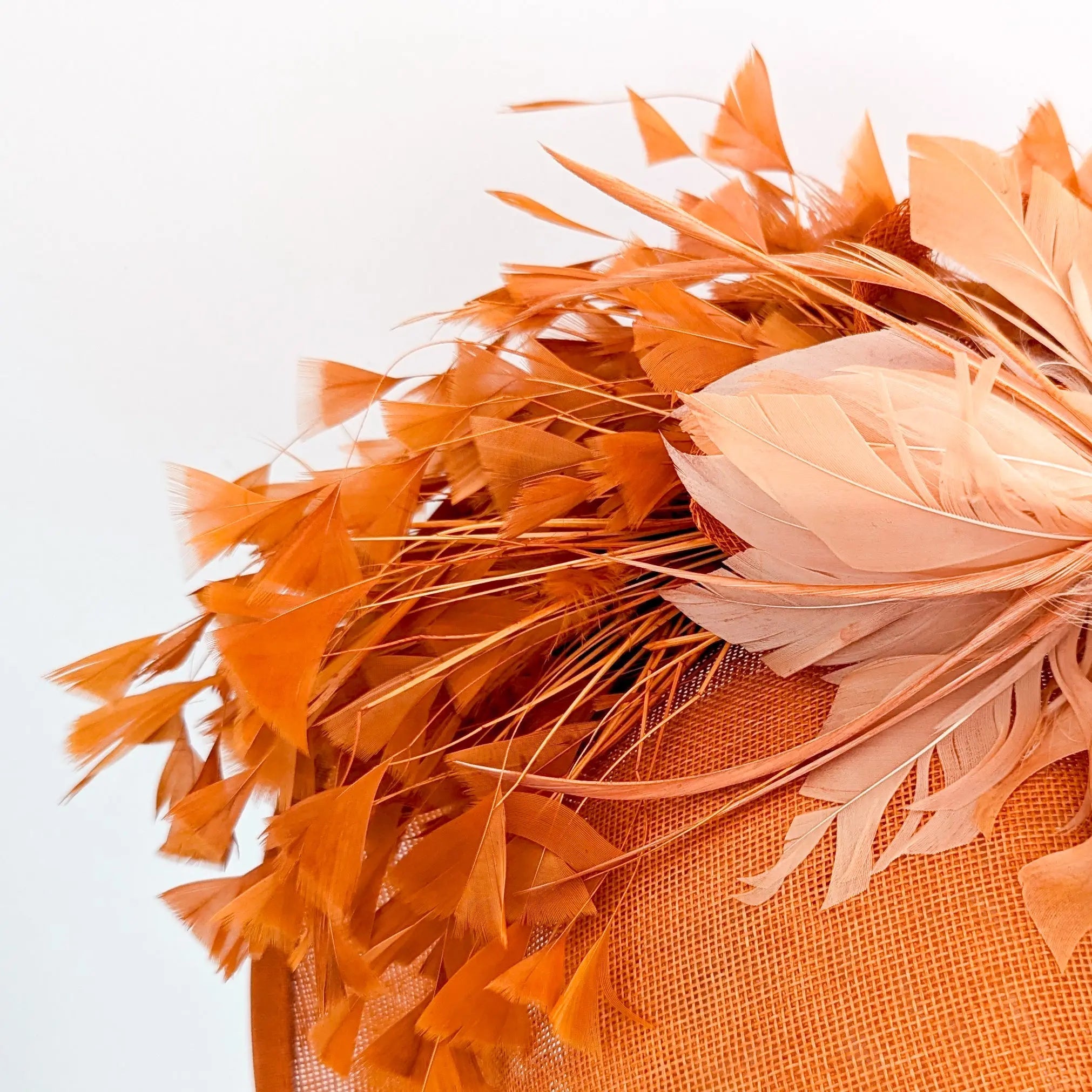 Terracotta dusty orange large feather disc fascinator hat - House of Hats